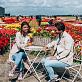 72 tulip experience amsterdam  288 29(1)